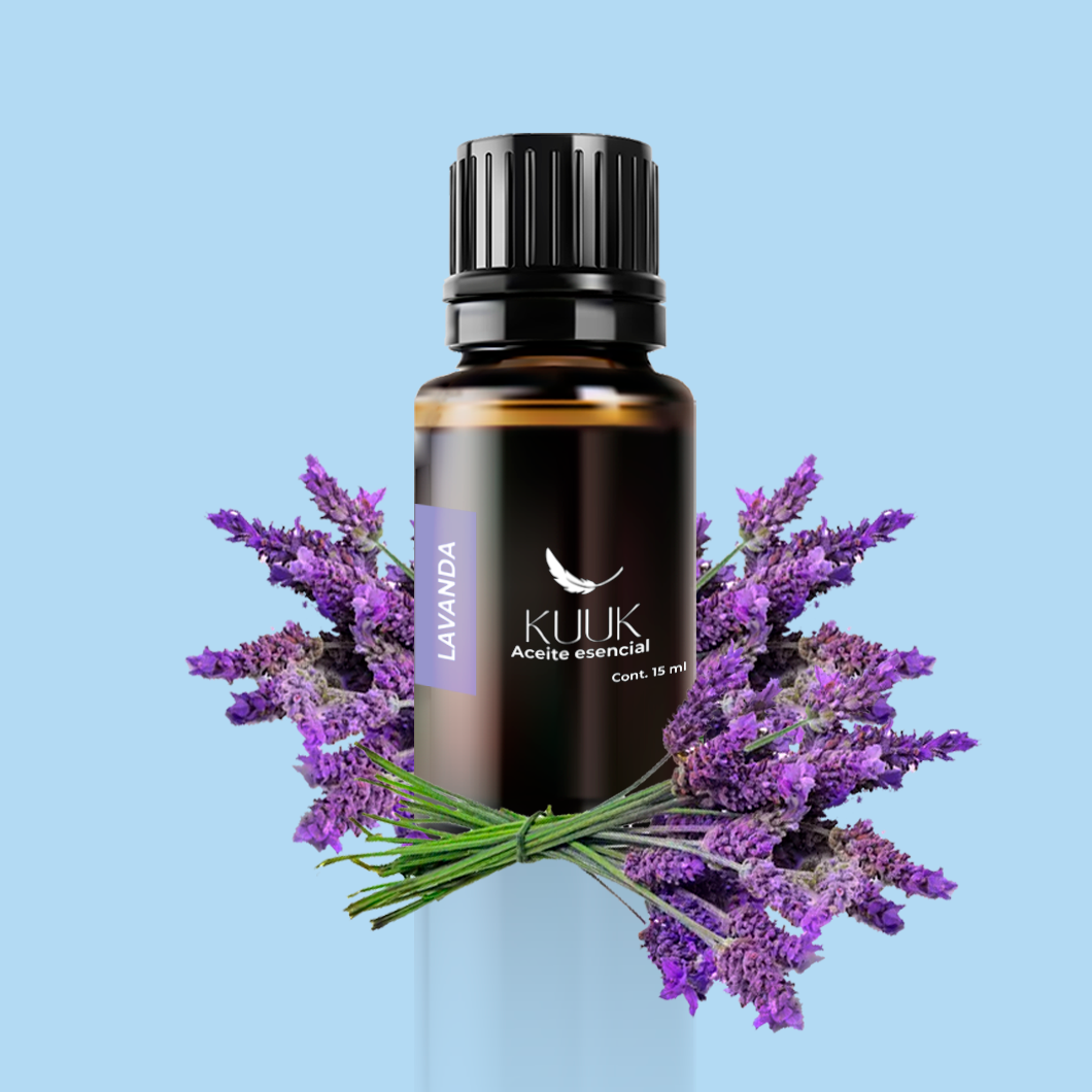 Lavanda